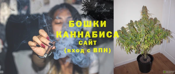скорость Каменка