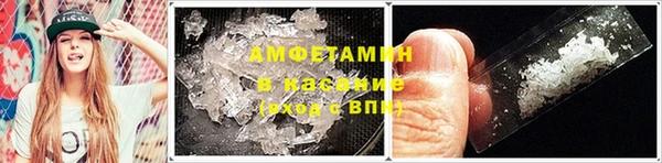 скорость Каменка