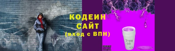 скорость Каменка