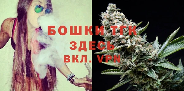 скорость Каменка