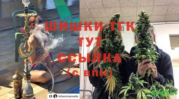 скорость Каменка