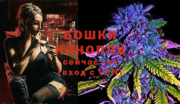 скорость Каменка