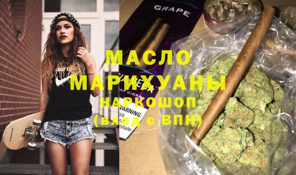 скорость Каменка