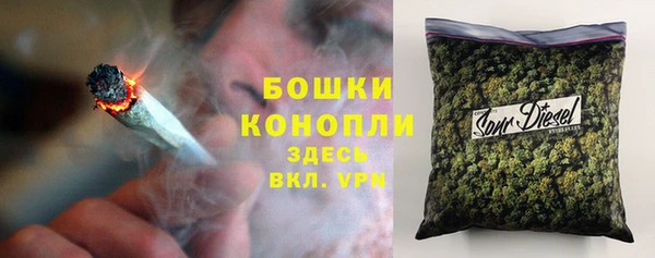 скорость Каменка